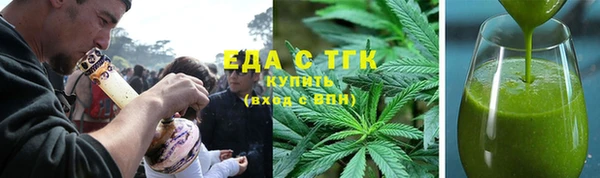 хмурый Аркадак