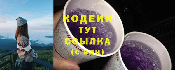 хмурый Аркадак