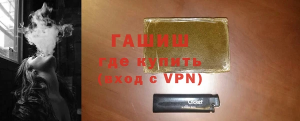хмурый Аркадак