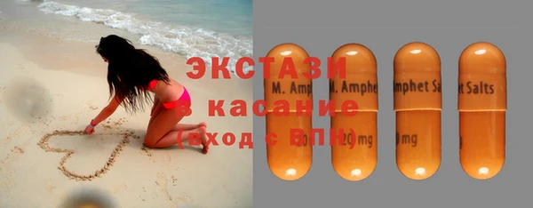 хмурый Аркадак