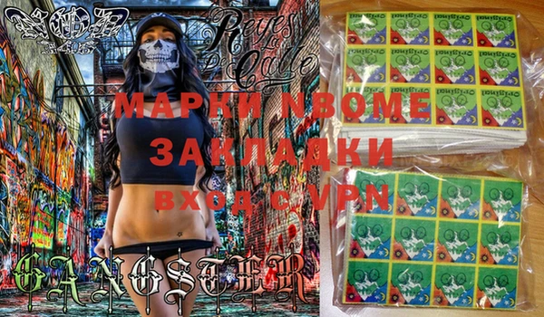 хмурый Аркадак