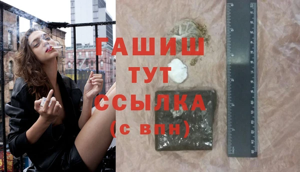 хмурый Аркадак