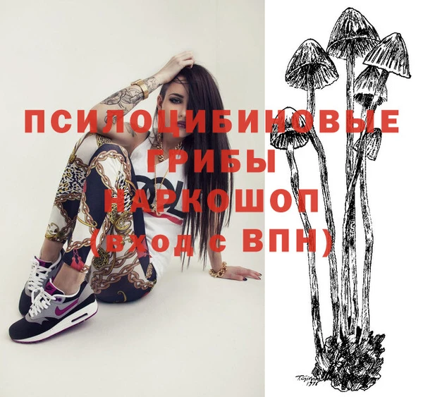 хмурый Аркадак