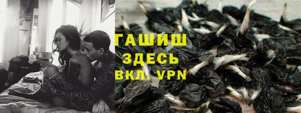 хмурый Аркадак