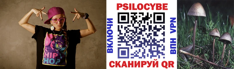 Псилоцибиновые грибы Psilocybe  магазин продажи наркотиков  Гдов 